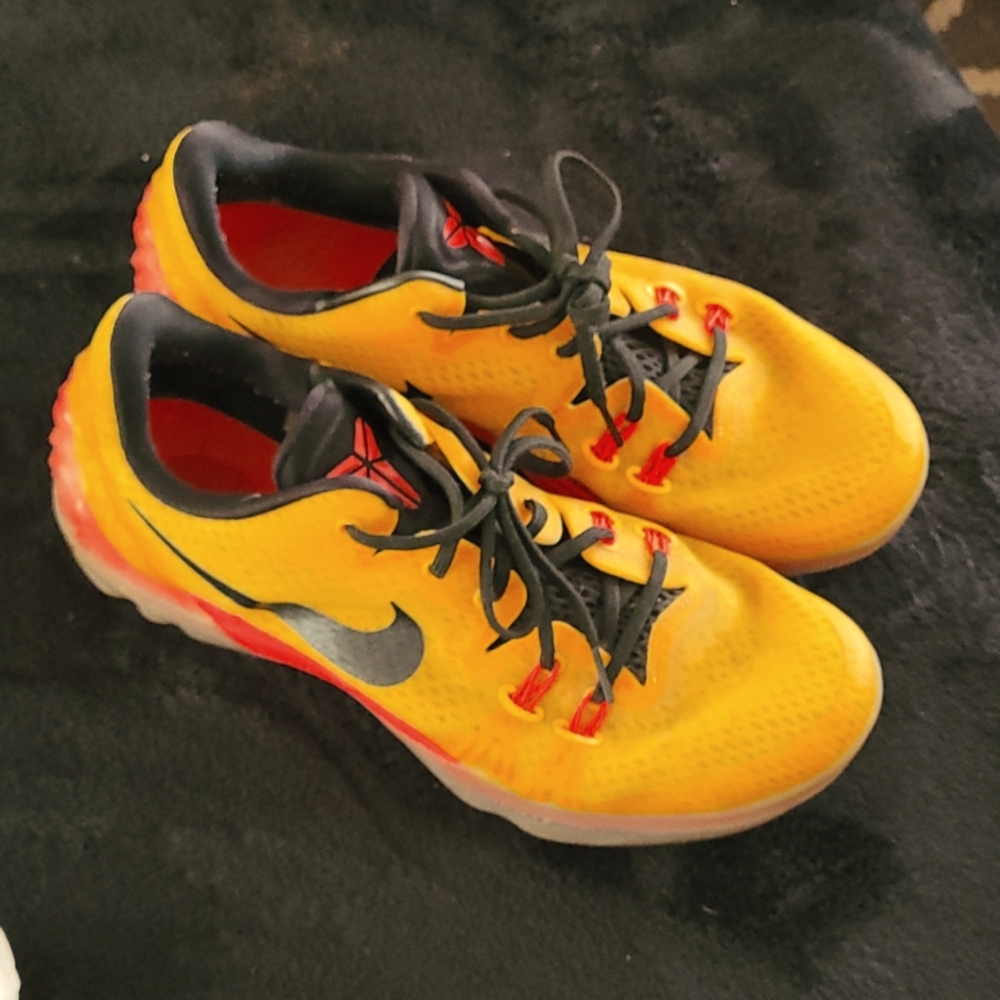 Kobe Zoom Venemon 5 EP University Gold Bright Crimsonl